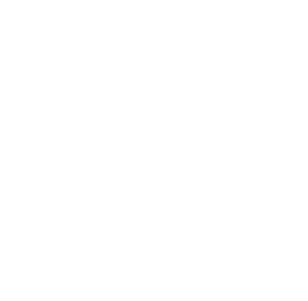 Leistungen Icon