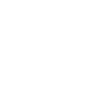Karriere Icon